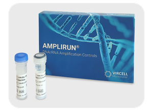 AMPLIRUN® Gardnerella vaginalis DNA Control, 100 µl 