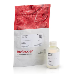 Invitrogen™ TE Buffer (20X), RNase-free, 100 mL