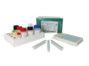 Vircell Syphilis ELISA Kit, 96 Tests