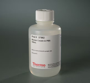 Thermo Scientific™ Blocker™ Casein