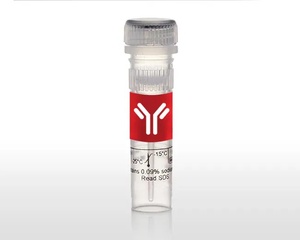 Invitrogen™ Crizanlizumab Humanized Recombinant Human Monoclonal Antibody, > 90%