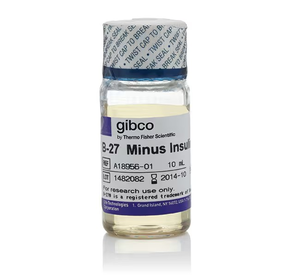 Gibco™ B-27™ Supplement, minus insulin