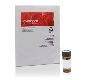 Invitrogen™ Paclitaxel (Taxol Equivalent) – For Research Use Only (5mg), HPLC >98%  