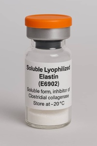 MCE Elastin from Bovine