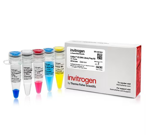 Invitrogen™ Collibri™ DNA Library Preparation Kit Modules for Illumina™ Systems