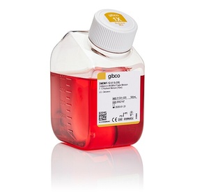 Gibco™ DMEM/F-12, no glutamine