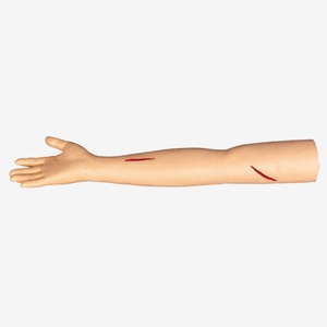 Advanced Surgical Suture Arm Model Gd/Lv1 