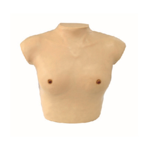 GD Breast Examination Simulator Model