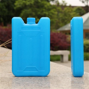 Cold Storage Ice Packs