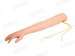 I.V Training Arm Model Gd/Hs2