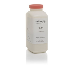Invitrogen™ Lb Agar, Powder (Lennox L Agar), 500G