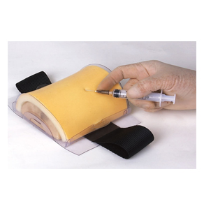 [GD/HS18E] GD Multi-Functional Intramuscular Injection Training Pad